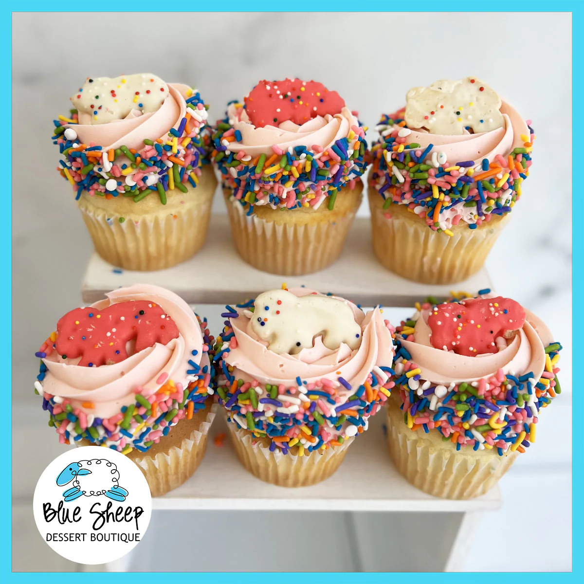 Circus Cookie Cupcake