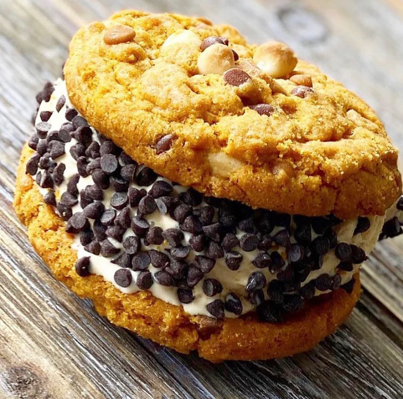 Ice Cream Cookie Sandwich