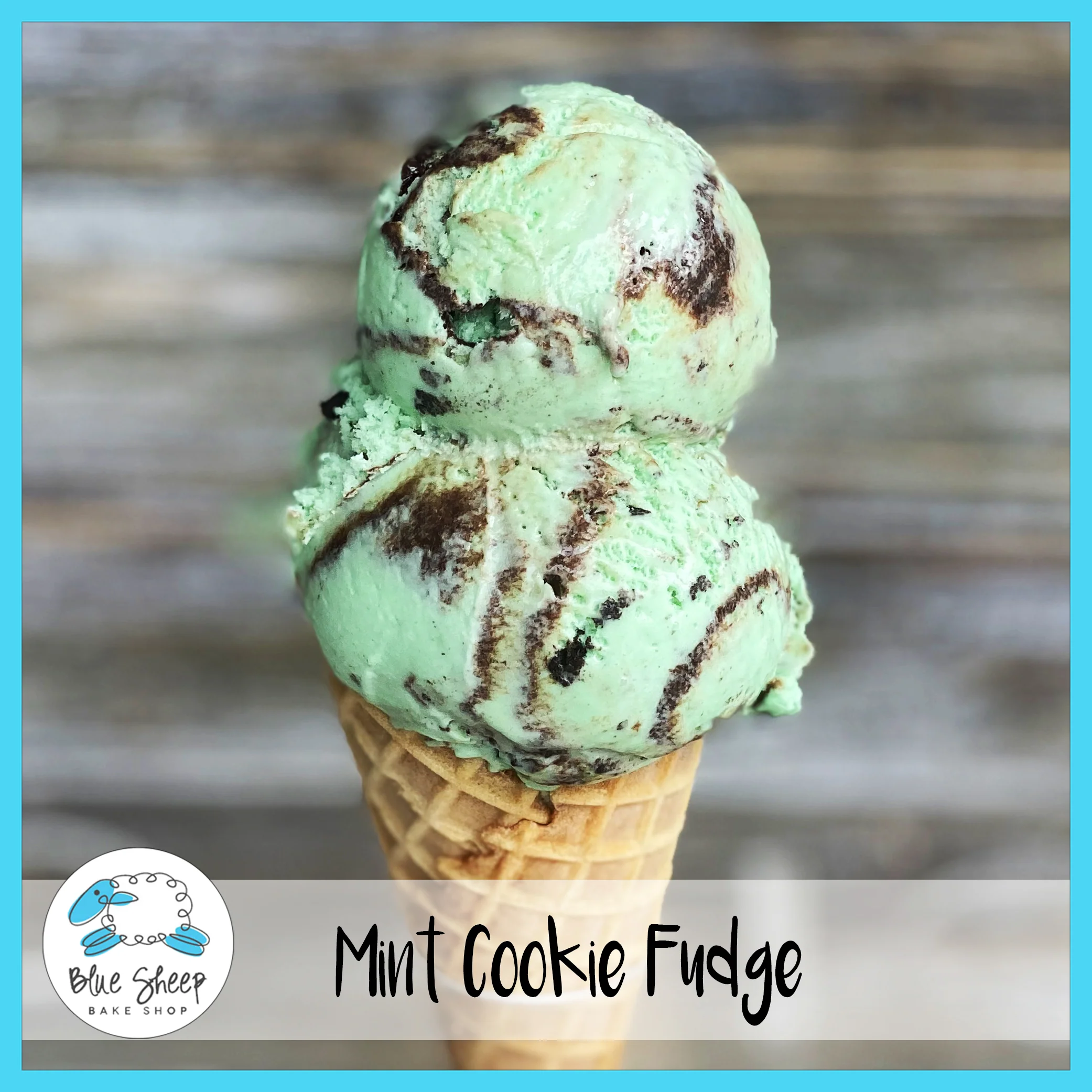 Mint Cookie Fudge Ice Cream